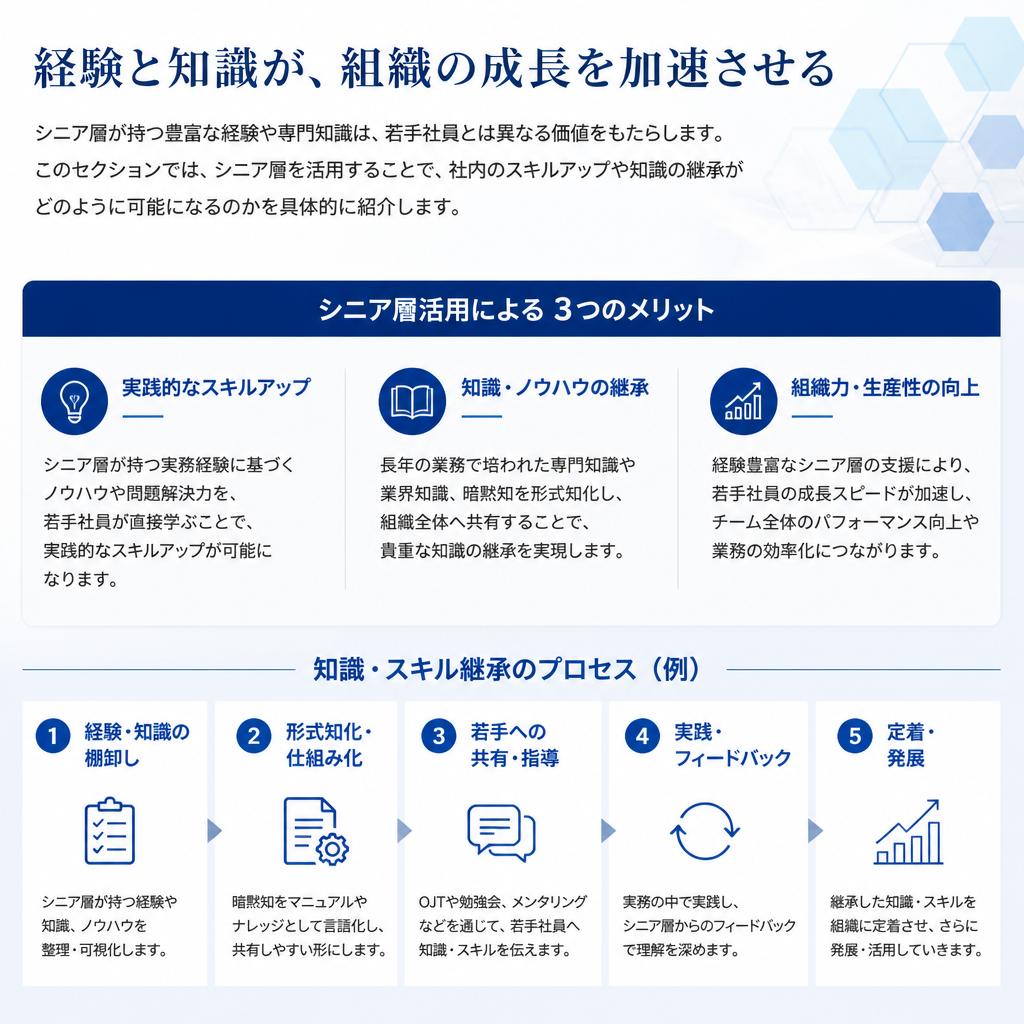 シニア層活用のメリットとは？